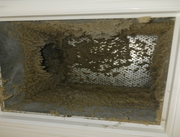 Sanitization-with-Safe-1