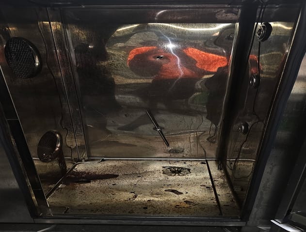 Deep-Cleaning-&-Sanitization-2