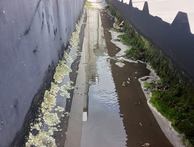 Roof-Drain-Cleaning-2