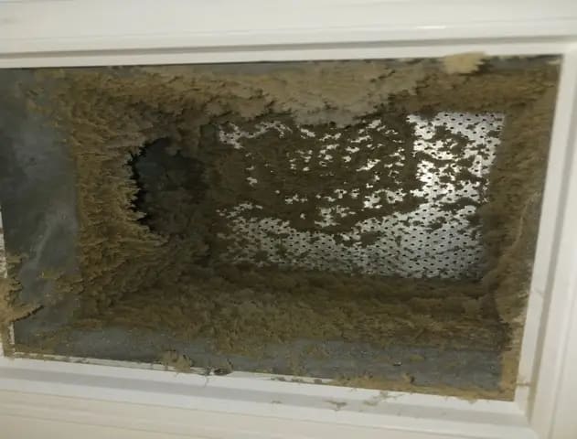 Sanitization-with-Safe-1